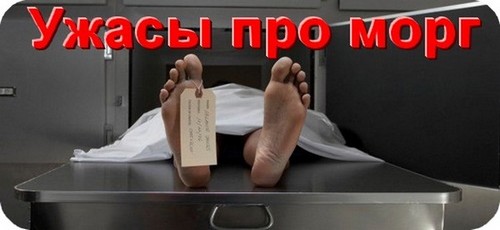 Ужасы про морг