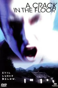 Трещина в полу 2001