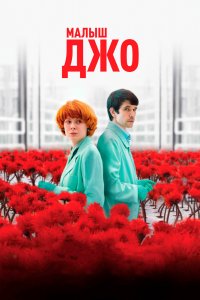 Малыш Джо 2019