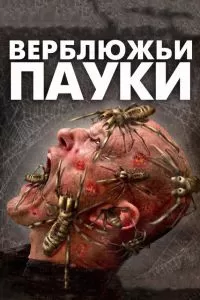 Верблюжьи пауки 2011