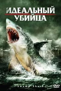 Идеальный убийца 2011