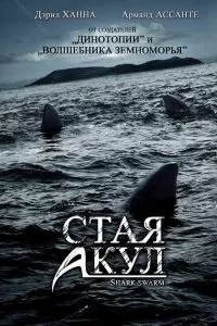 Стая акул 2008