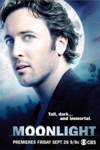 В лунном свете 2007