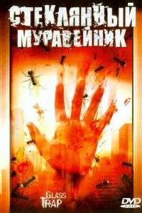 Стеклянный муравейник 2005
